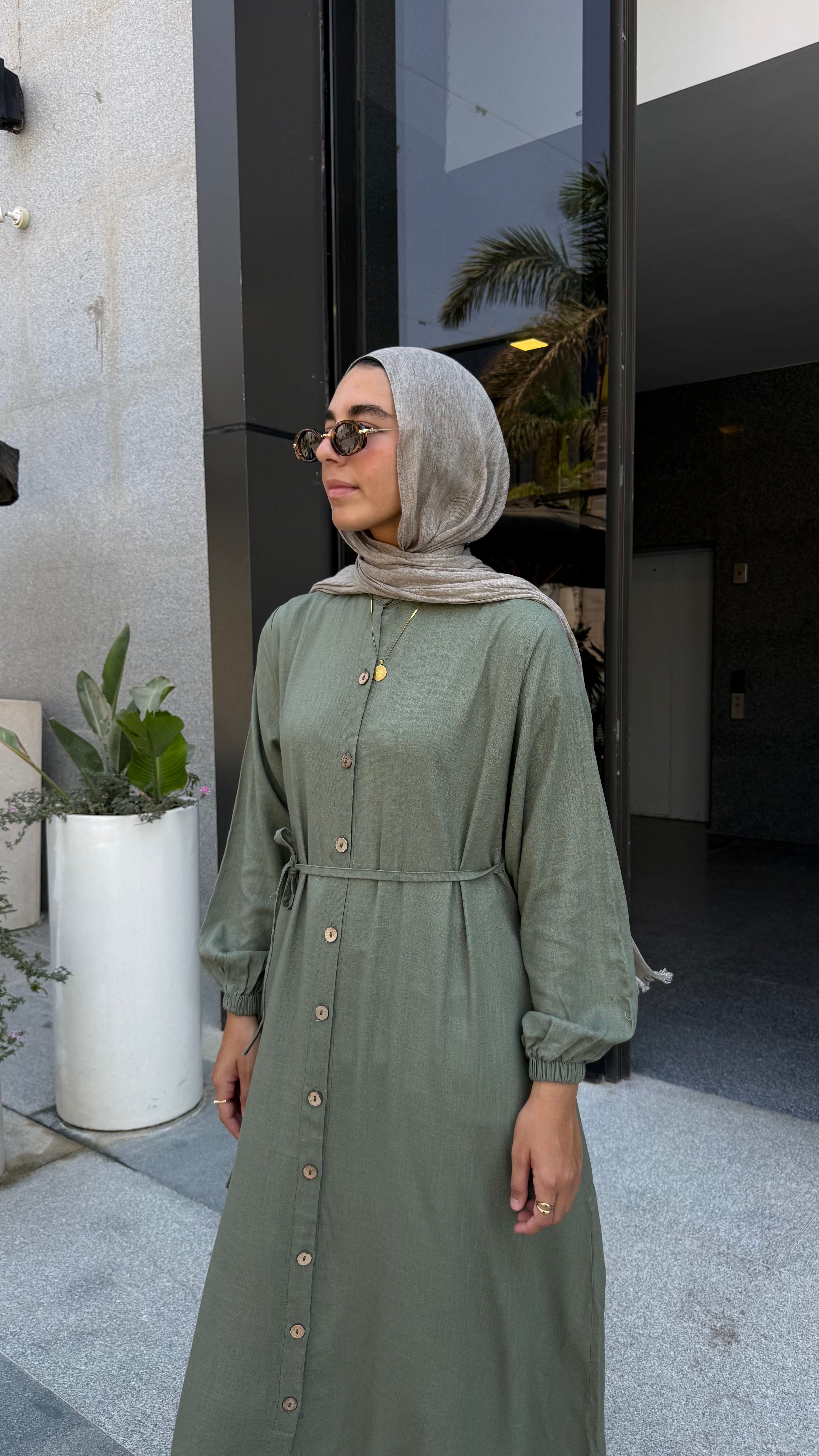 Shirt Dress (Olive)
